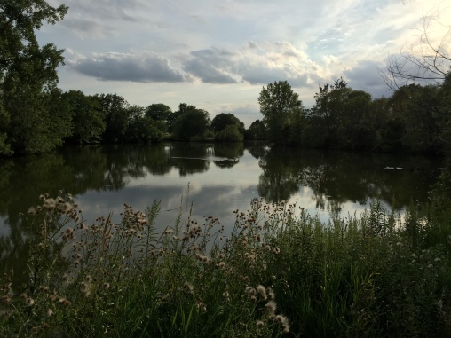 This evening's walk was a little slice of heaven.
